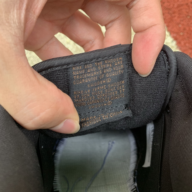 Nike Dunk Low Pro SB Trail