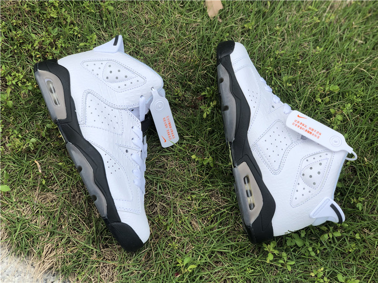 Air Jordan 6 GS “Alligator”