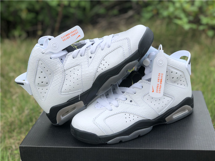 Air Jordan 6 GS “Alligator”