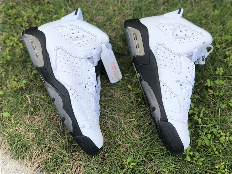 Air Jordan 6 GS “Alligator”