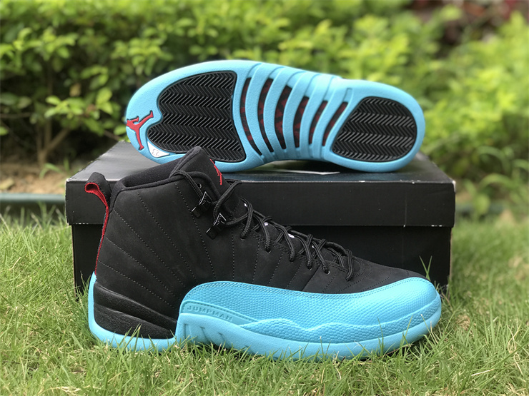 Air Jordan 12 Gamma Blue