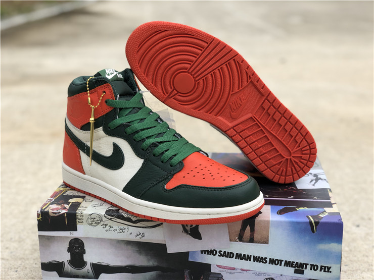 Air Jordan 1 “Solefiy”