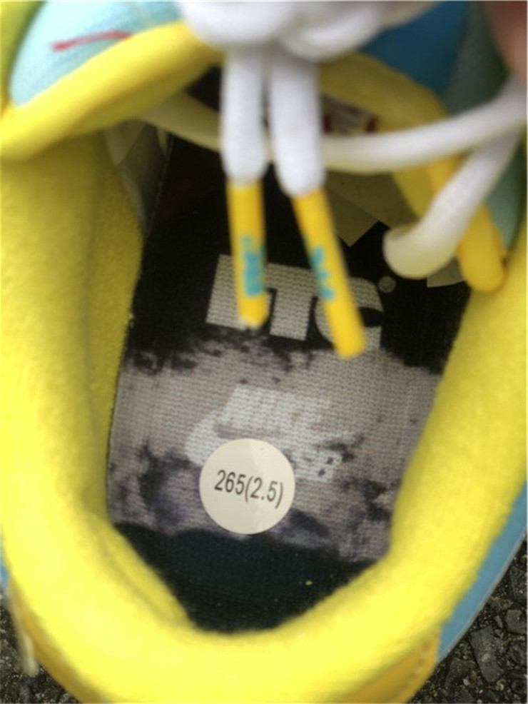 FTC x Nike SB Dunk Low