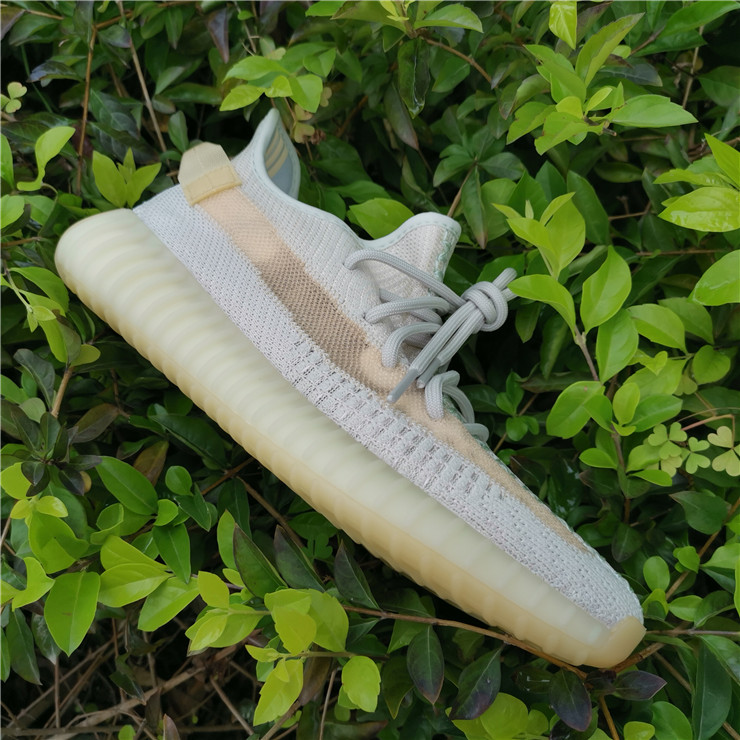 Yeezy Boost 350 Boost V2 Chameleon