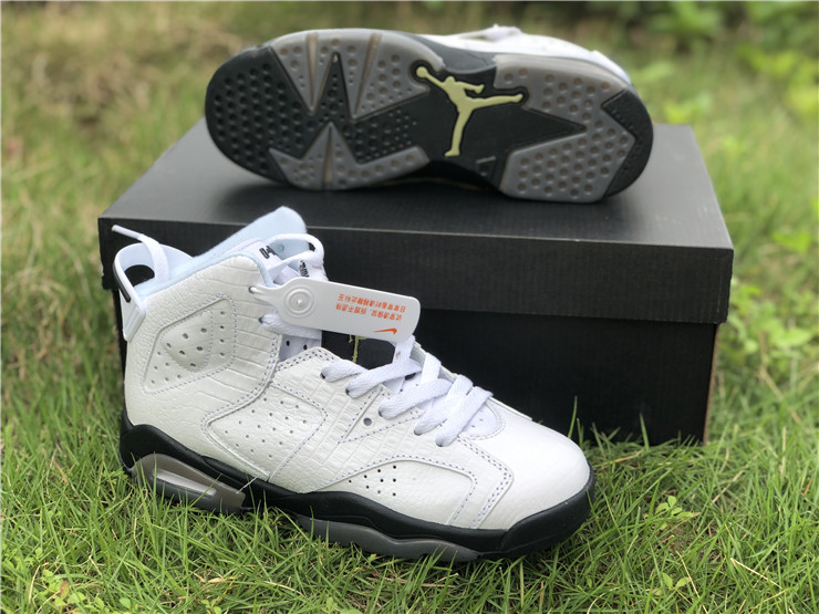 Air Jordan 6 GS “Alligator”