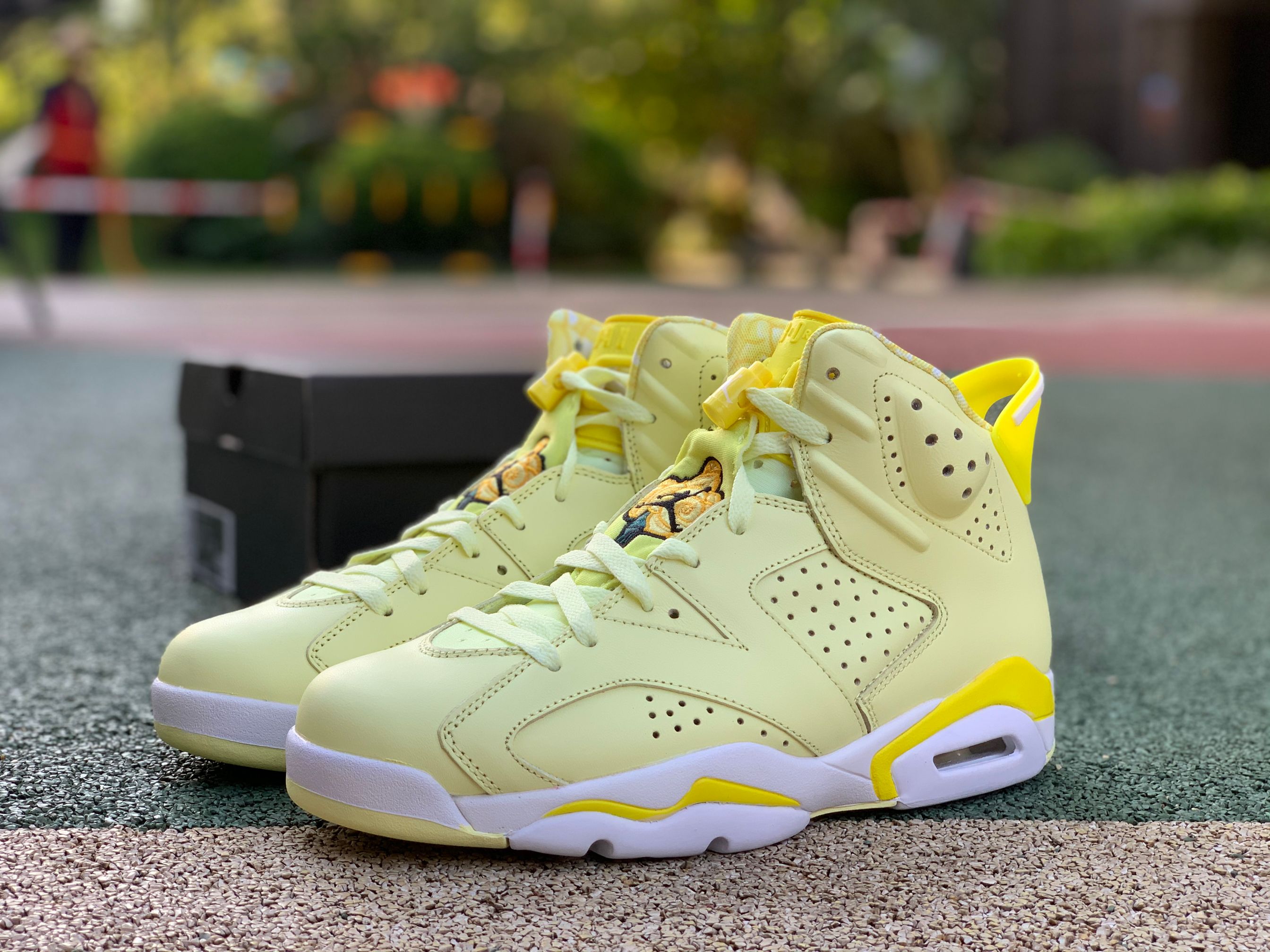 Air Jordan 6 GS “Floral”