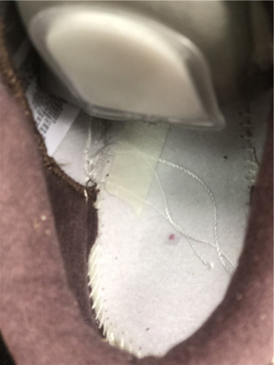 Nike Dunk Low PRM “Medium Curry”