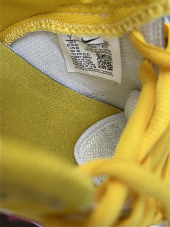 Air Jordan 1 SB Dunk Low ''SAMBA''