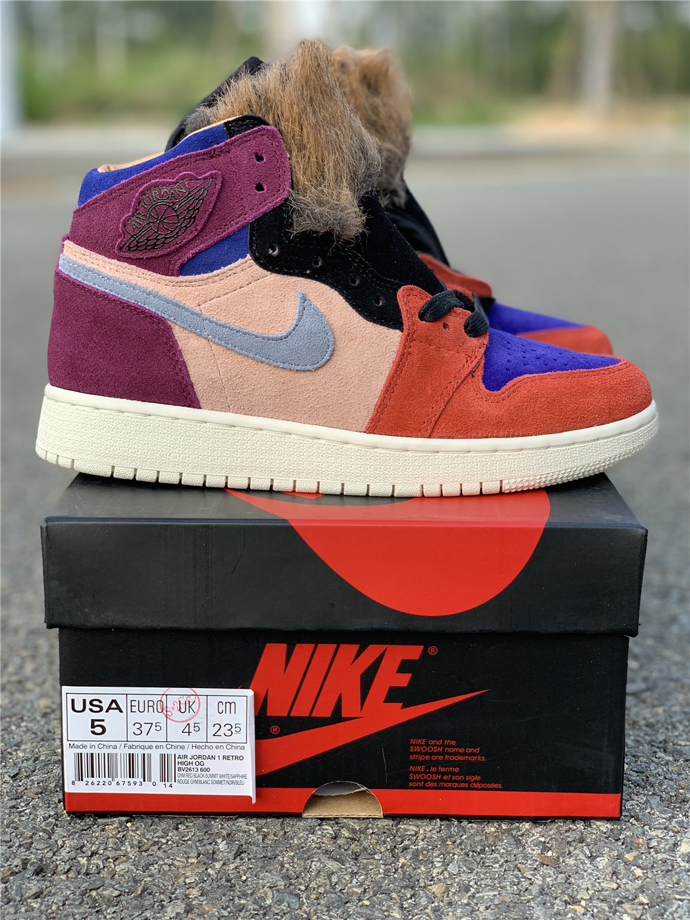 Aleali May x Air Jordan 1 “Viotech”