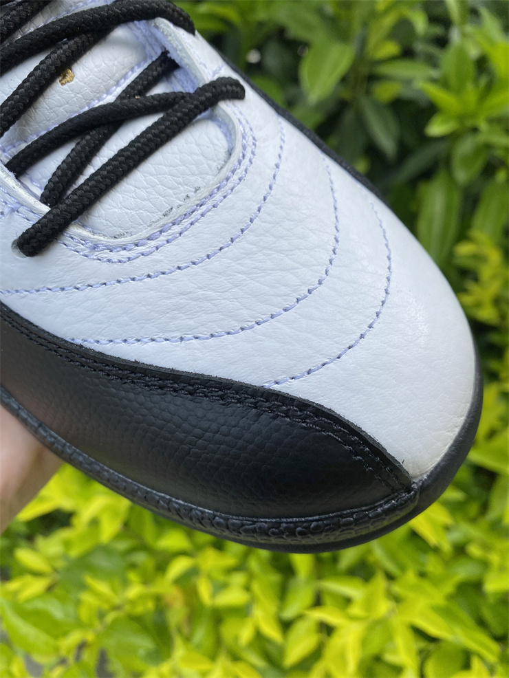 Air Jordan 12 Royalty