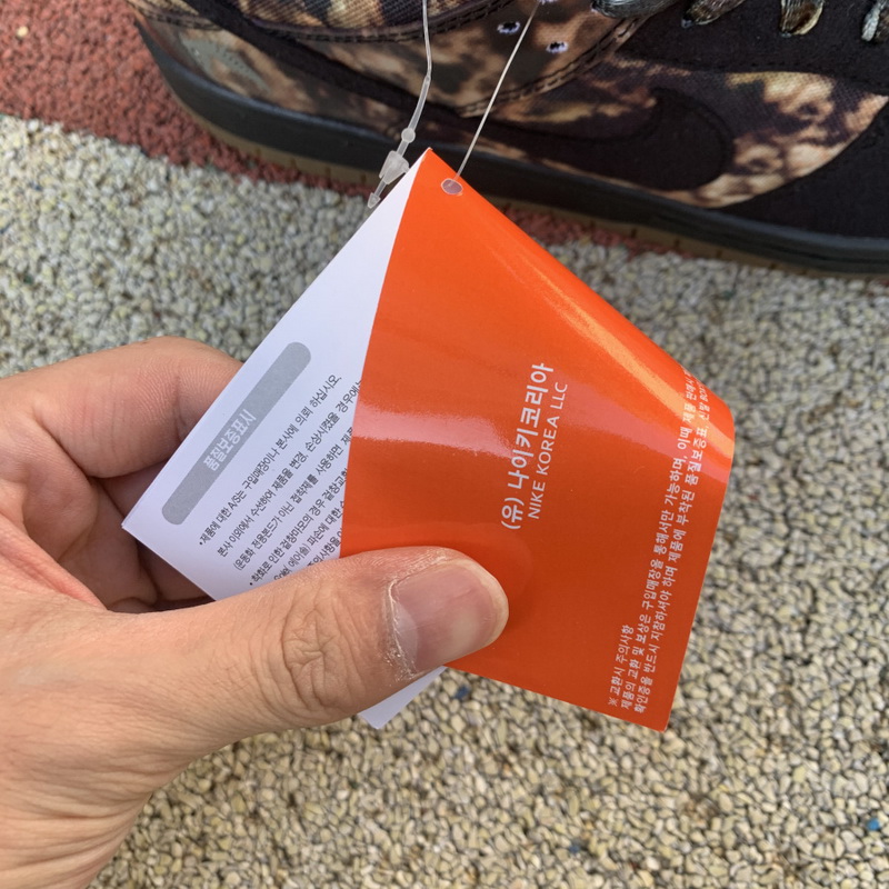 Nike SB Dunk Low Pushed 2