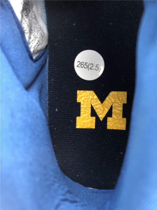 Air Jordan 1 “Michigan” PE