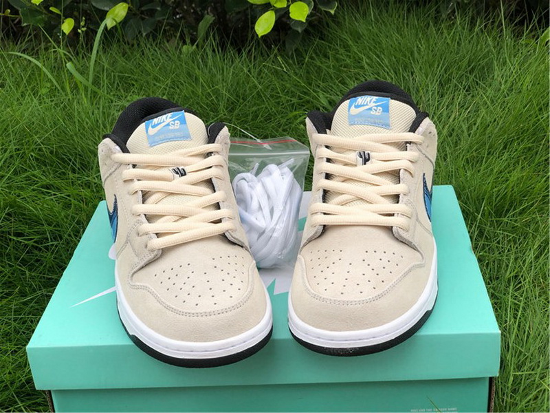 Nike SB Dunk Low Truck It