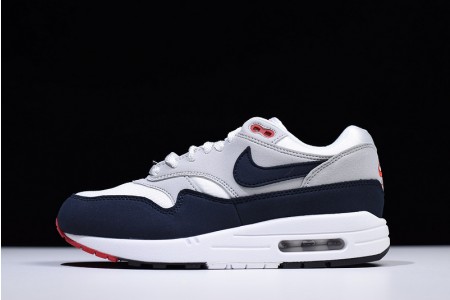 Nike Air Max 1 Anniversary - Nike