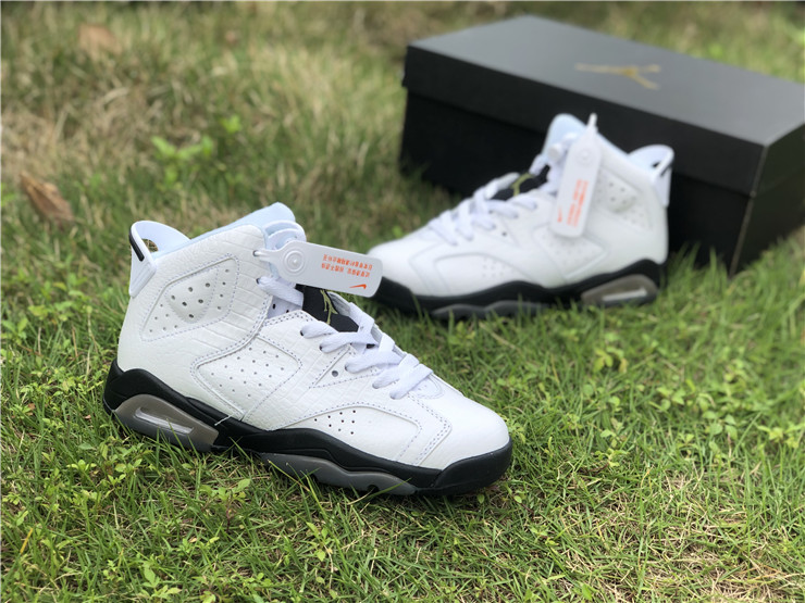 Air Jordan 6 GS “Alligator”