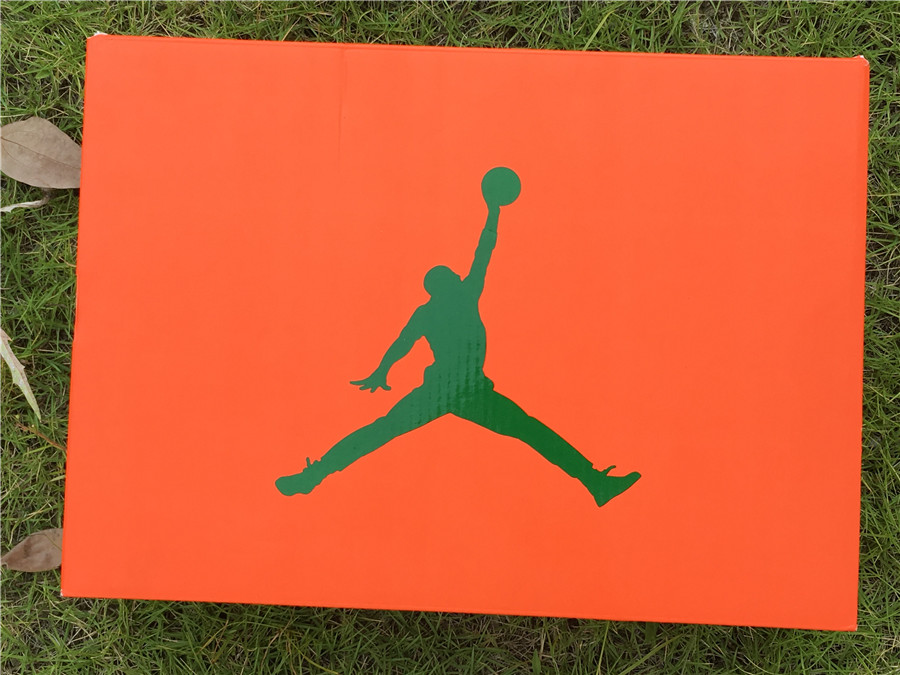 Air Jordan 6 “Gatorade”