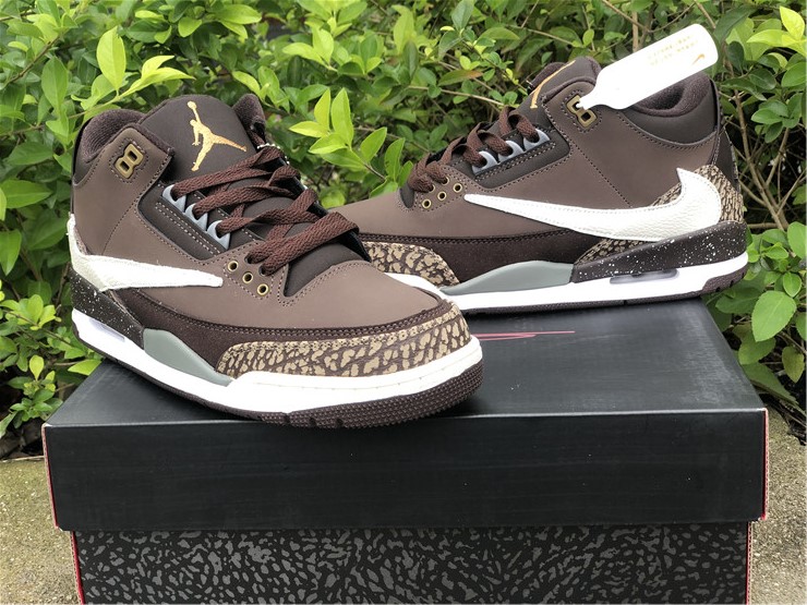 Air Jordan 3 TS