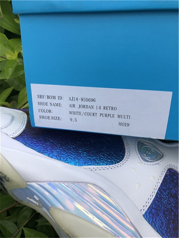 Air Jordan 14“Doernbecher” White