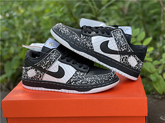 NIKE SB DUNK LOW PRO