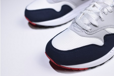 Nike Air Max 1 Anniversary - Nike