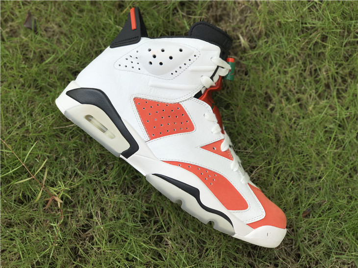 Air Jordan 6 “Gatorade”