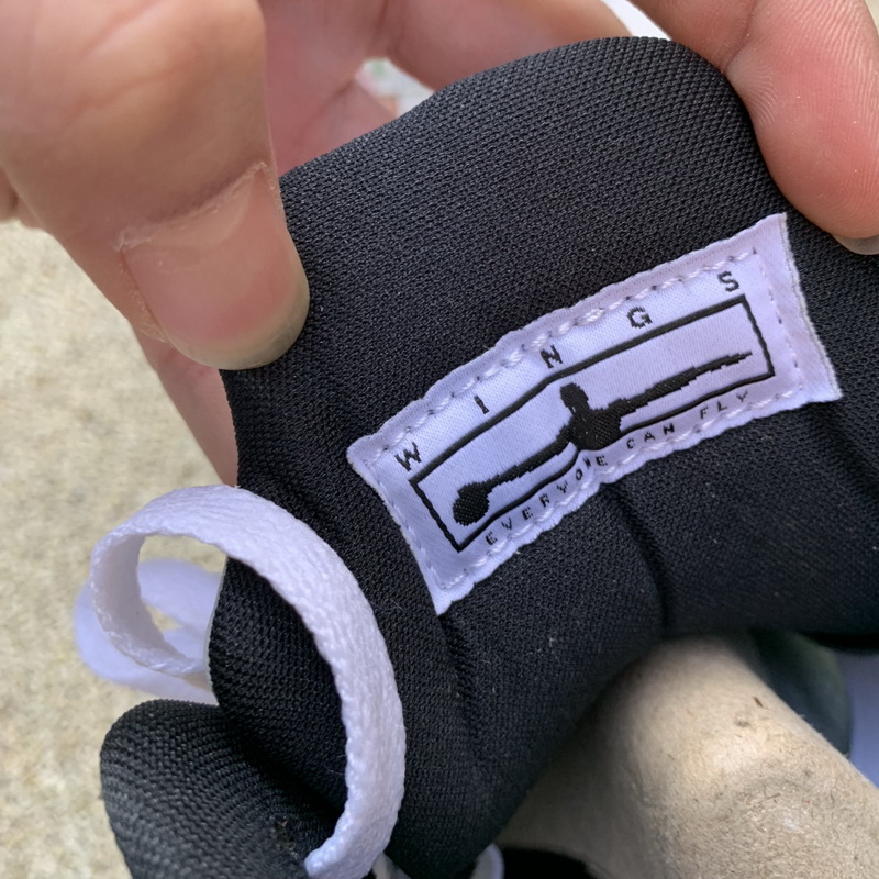 Air Jordan 5 “Wings” GS