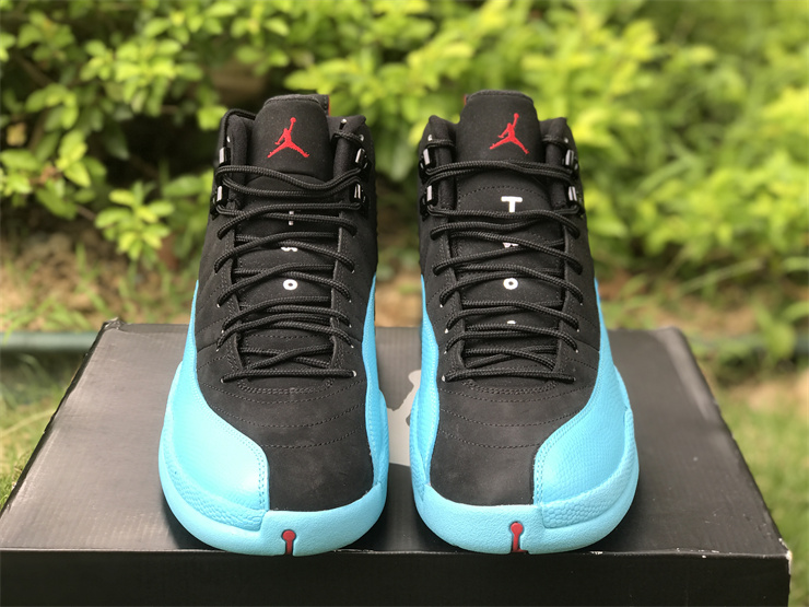 Air Jordan 12 Gamma Blue