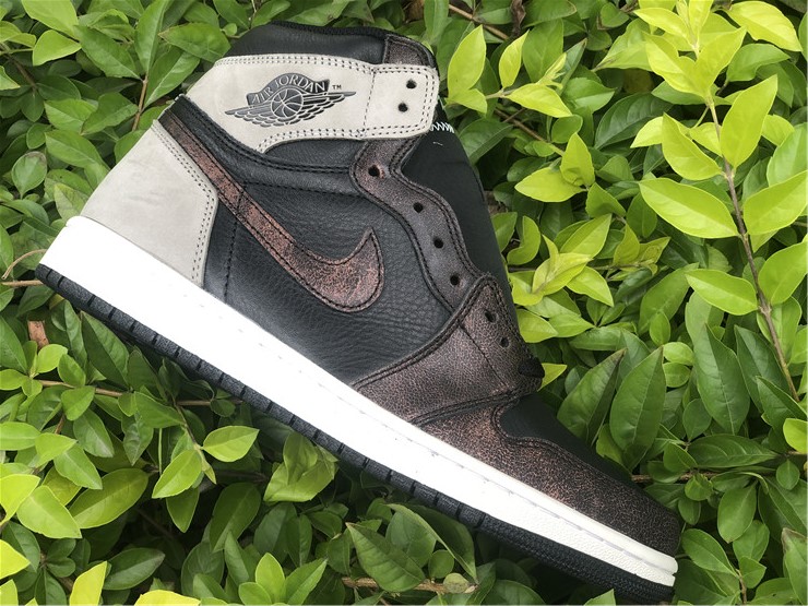 Air Jordan 1 “Rust Shadow”