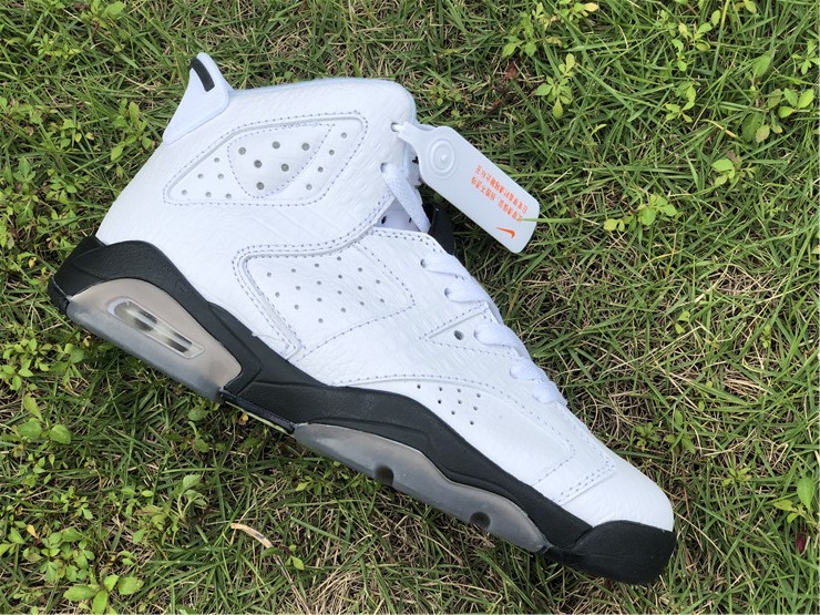 Air Jordan 6 GS “Alligator”