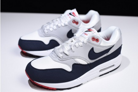 Nike Air Max 1 Anniversary - Nike