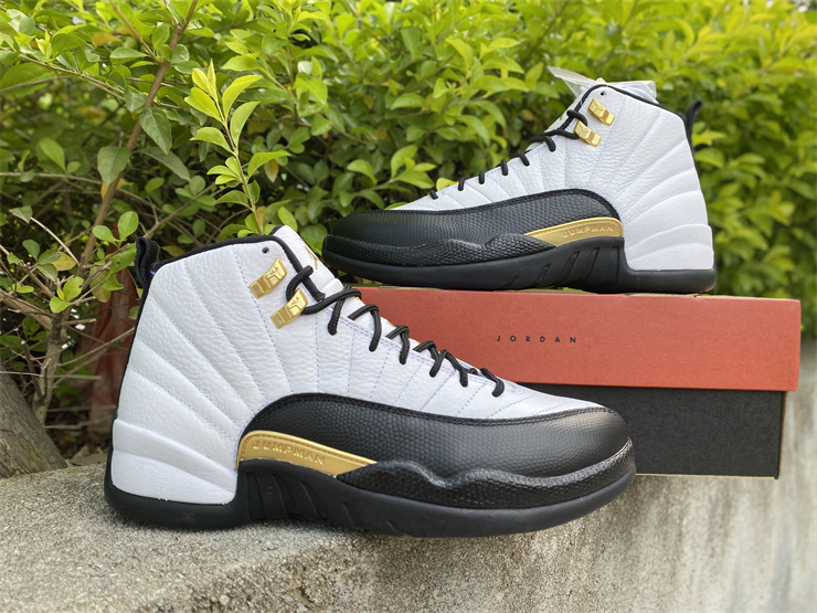 Air Jordan 12 Royalty