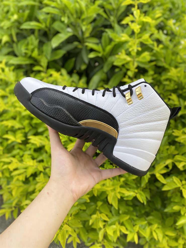 Air Jordan 12 Royalty