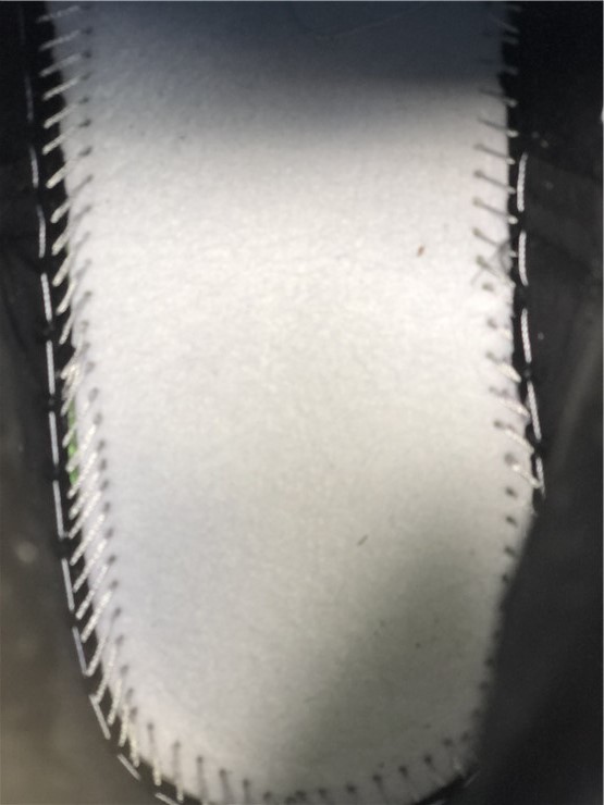 Air Jordan 1 Zoom Air CMFT “Bayou Boys”