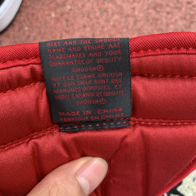 Air Jordan 1 High OG WMNS “Satin Snake”