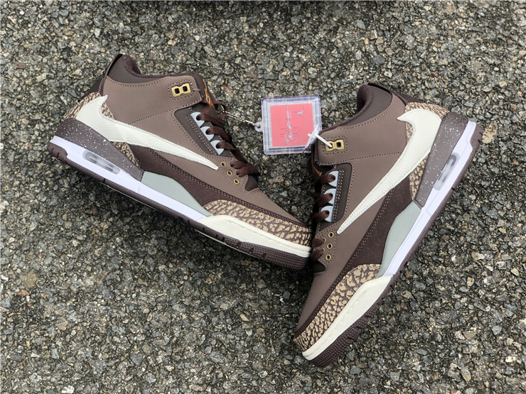 Air Jordan 3 TS