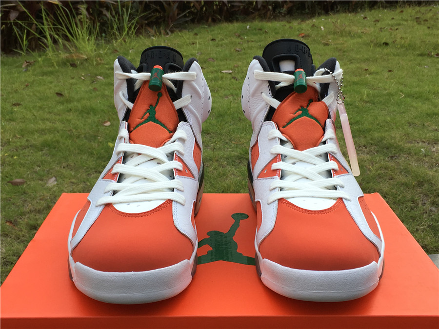 Air Jordan 6 “Gatorade”