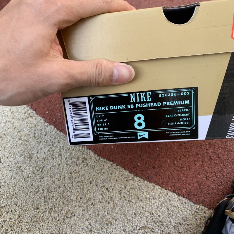 Nike SB Dunk Low Pushed 2