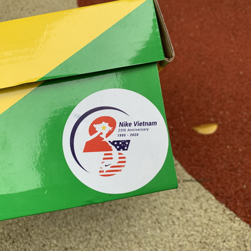 Nike SB Dunk Low “25th Anniversary”