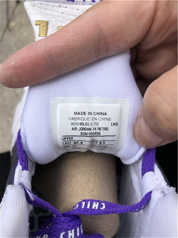 Air Jordan 14“Doernbecher” White