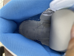 Nike Dunk High Aluminum (W) GS