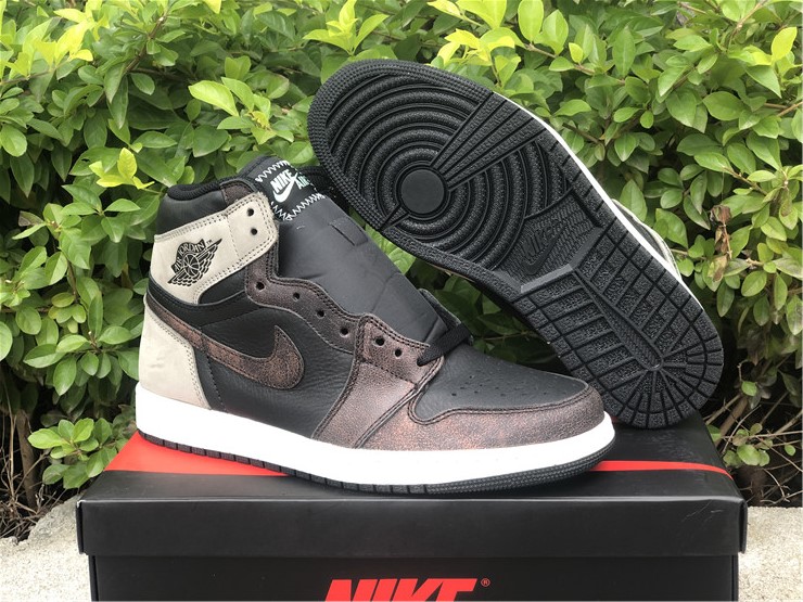 Air Jordan 1 “Rust Shadow”
