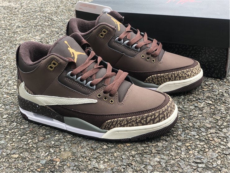 Air Jordan 3 TS