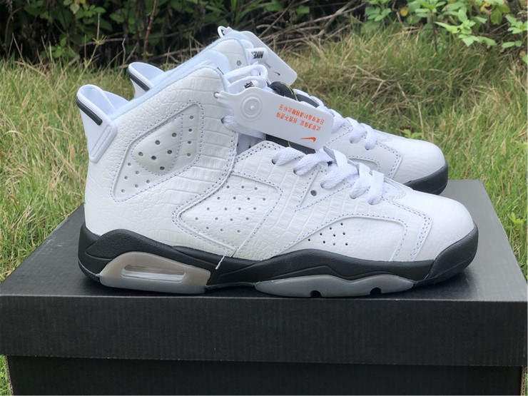 Air Jordan 6 GS “Alligator”
