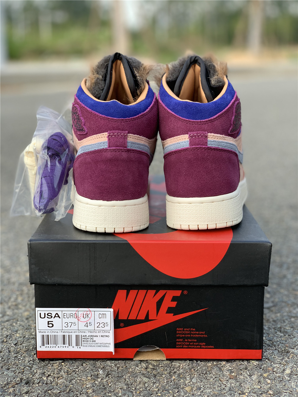 Aleali May x Air Jordan 1 “Viotech”