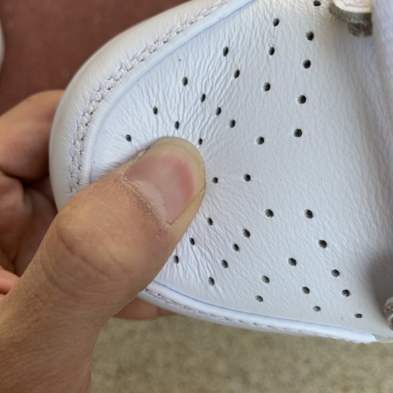 Nike SB Dunk Low PRO ISO