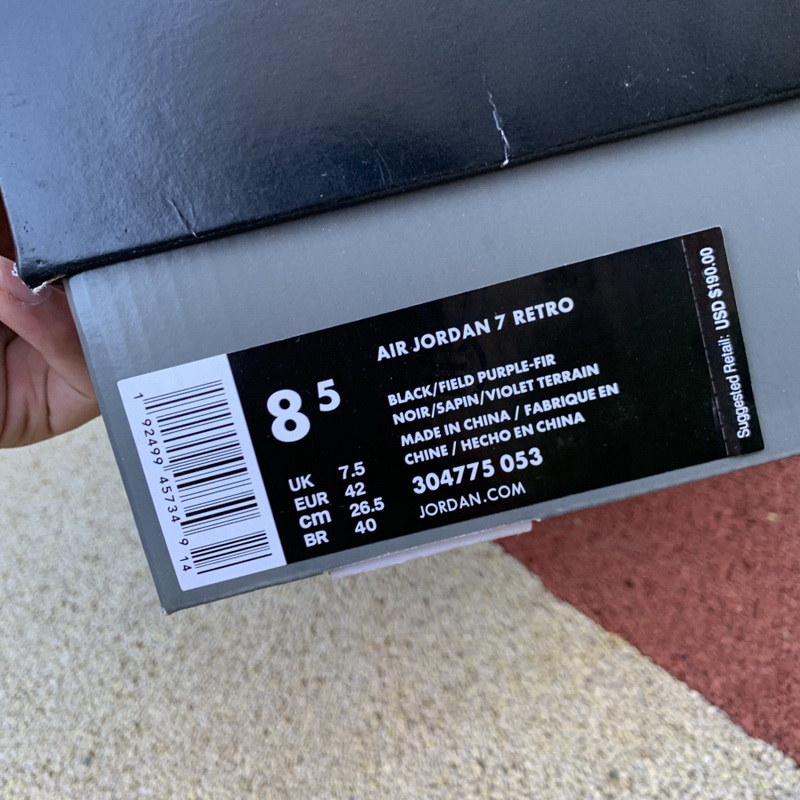 Air Jordan 7 “Ray Allen”