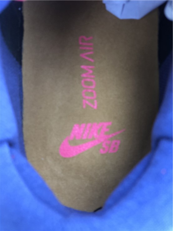 Nike SB Dunk Low Pro Papa Bear