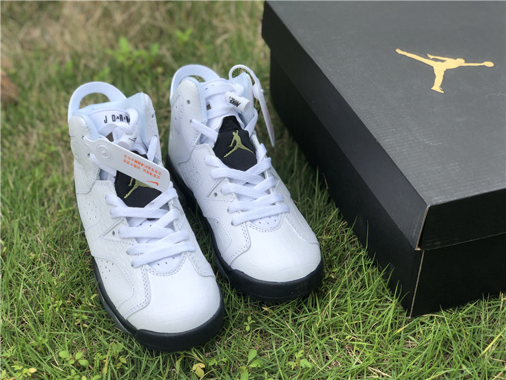 Air Jordan 6 GS “Alligator”