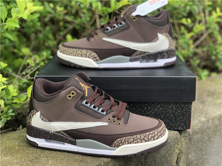 Air Jordan 3 TS