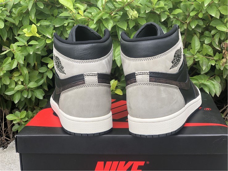 Air Jordan 1 “Rust Shadow”